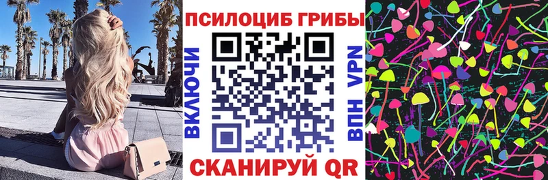 Псилоцибиновые грибы Psilocybine cubensis  Шахты 