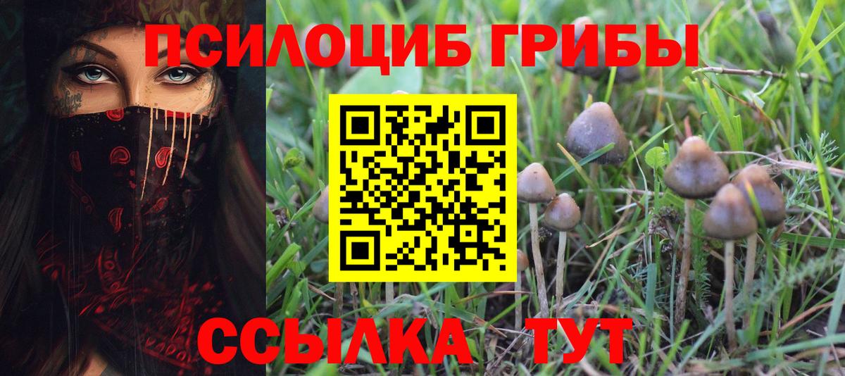 Галлюциногенные грибы Psilocybe  Галлюциногенные грибы Cubensis  Вход с VPN  Шахты 