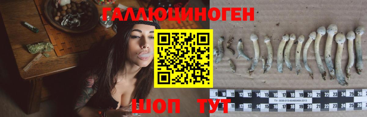 Галлюциногенные грибы ЛСД Шахты