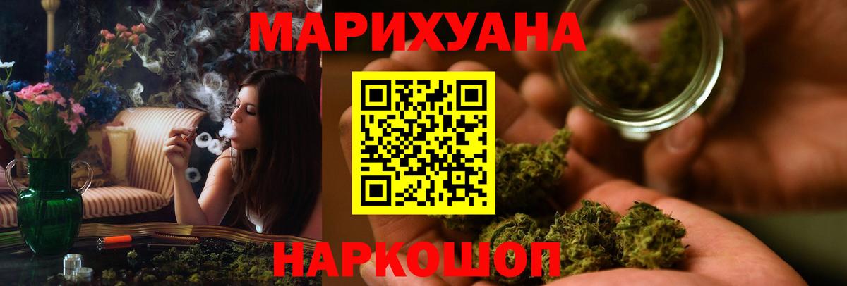 Канабис сатива Шахты
